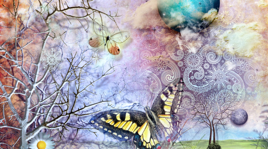 Self Awareness in Lucid Dreams