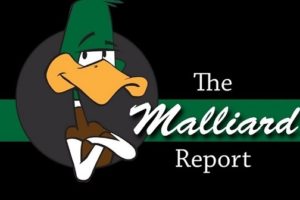 The Malliard Report: Todd Harrington