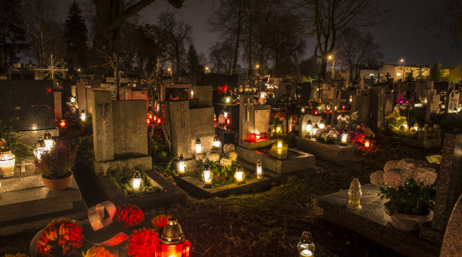 Everything I Need: Day of the Dead